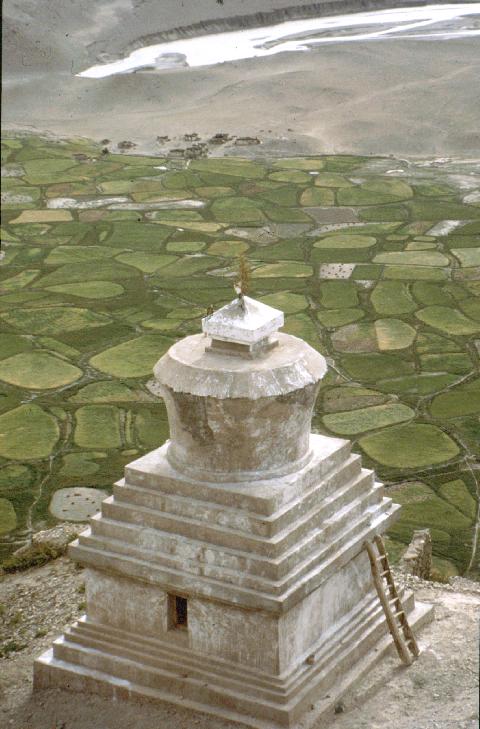 Tibeti sztúpa
