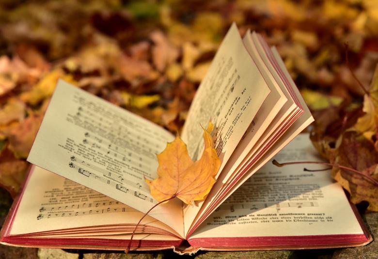 Ulrike Leone képe a Pixabay-en, https://pixabay.com/hu/photos/k%C3%B6nyv-%C5%91sz-lev%C3%A9l-n%C3%B6v%C3%A9nyen-levelek-3755514/