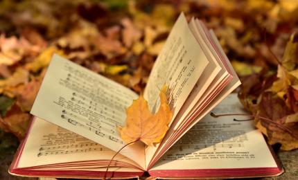 Ulrike Leone képe a Pixabay-en, https://pixabay.com/hu/photos/k%C3%B6nyv-%C5%91sz-lev%C3%A9l-n%C3%B6v%C3%A9nyen-levelek-3755514/