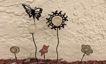 Amber Avalona képe a Pixabay-en