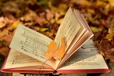 Ulrike Leone képe a Pixabay-en, https://pixabay.com/hu/photos/k%C3%B6nyv-%C5%91sz-lev%C3%A9l-n%C3%B6v%C3%A9nyen-levelek-3755514/