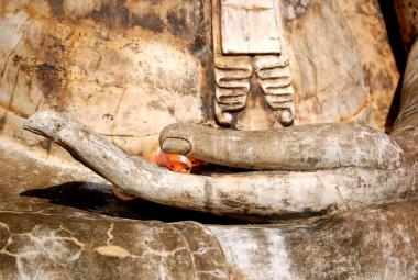 Hand of the Buddha